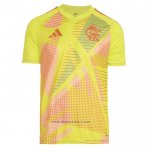 Thailand Flamengo Goalkeeper Shirt 2025 Yellow