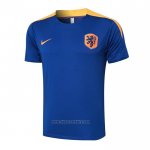 Training Shirt Holland 2024-2025 Blue