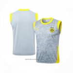 Training Shirt Borussia Dortmund Without Sleeves 2025-2026 Grey