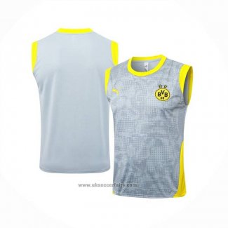 Training Shirt Borussia Dortmund Without Sleeves 2025-2026 Grey