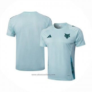 Training Shirt Cruzeiro 2024-2025 Green