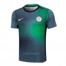 Training Shirt Nigeria 2024-2025 Grey Green