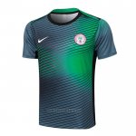 Training Shirt Nigeria 2024-2025 Grey Green