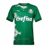 Palmeiras Special Shirt 2024 Green
