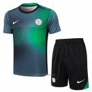 Tracksuit Nigeria Short Sleeve 2024-2025 Grey Green - Shorts
