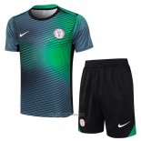 Tracksuit Nigeria Short Sleeve 2024-2025 Grey Green - Shorts