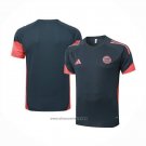 Training Shirt Bayern Munich 2025-2026 Grey Dark