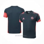 Training Shirt Bayern Munich 2025-2026 Grey Dark