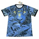 Brazil Special Shirt 2024-2025 Blue