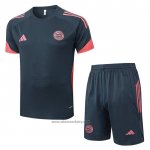 Tracksuit Bayern Munich Short Sleeve 2025-2026 Grey Dark - Shorts