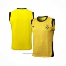 Training Shirt Borussia Dortmund Without Sleeves 2025-2026 Yellow