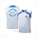 Training Shirt Bayern Munich Without Sleeves 2025-2026 Grey