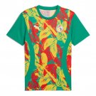 Pre-match Shirt Senegal 2024 Green