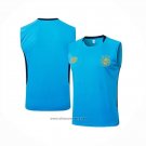 Training Shirt Gremio Without Sleeves 2025-2026 Blue