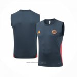 Training Shirt Bayern Munich Without Sleeves 2025-2026 Grey Dark