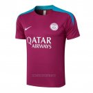 Training Shirt Paris Saint-Germain 2024-2025 Purpura
