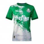 Palmeiras Special Shirt 2024 Green Grey
