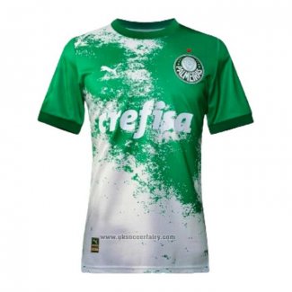 Palmeiras Special Shirt 2024 Green Grey