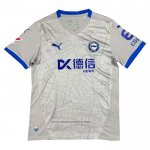 Avai Goalkeeper Shirt 2024 Grey