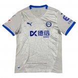 Avai Goalkeeper Shirt 2024 Grey