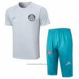 Tracksuit Palmeiras Short Sleeve 2023-2024 Grey - Shorts