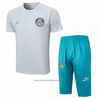 Tracksuit Palmeiras Short Sleeve 2023-2024 Grey - Shorts