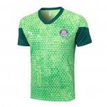Training Shirt Palmeiras 2024-2025 Green